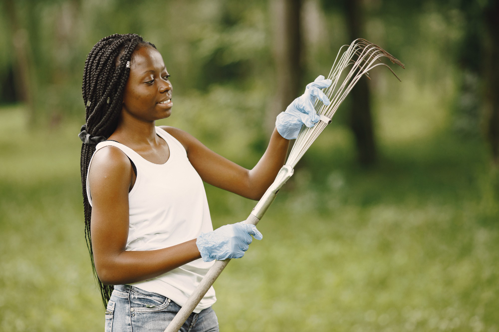 Indoor and outdoor cleaning